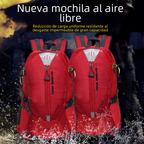 https://static.hzpdex.com/2771e93f-b7f0-4440-b17e-33ca39e43828.png