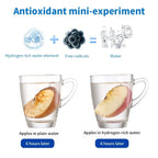 https://ae01.alicdn.com/kf/S03b36f5a53734e9bad1defd9c9d9a24eM/EAFC-Car-Hydrogen-Rich-Cup-Water-Generator-Alkaline-Maker-Rechargeable-Water-Ionizer-Bottle-Super-Antioxidan-Portable.jpg